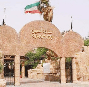 kuwait zoo Lsi keyword: kuwait zoo timing zoo in Kuwait