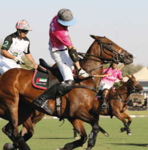 Horse riding Dubai, horseback riding, dubai horse riding