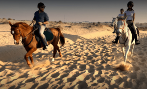 Horse riding Dubai, horseback riding, dubai horse riding