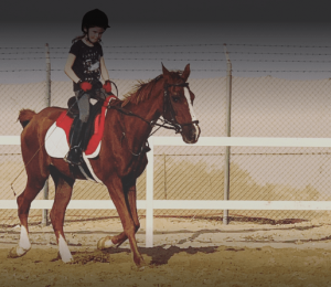 Horse riding Dubai, horseback riding, dubai horse riding